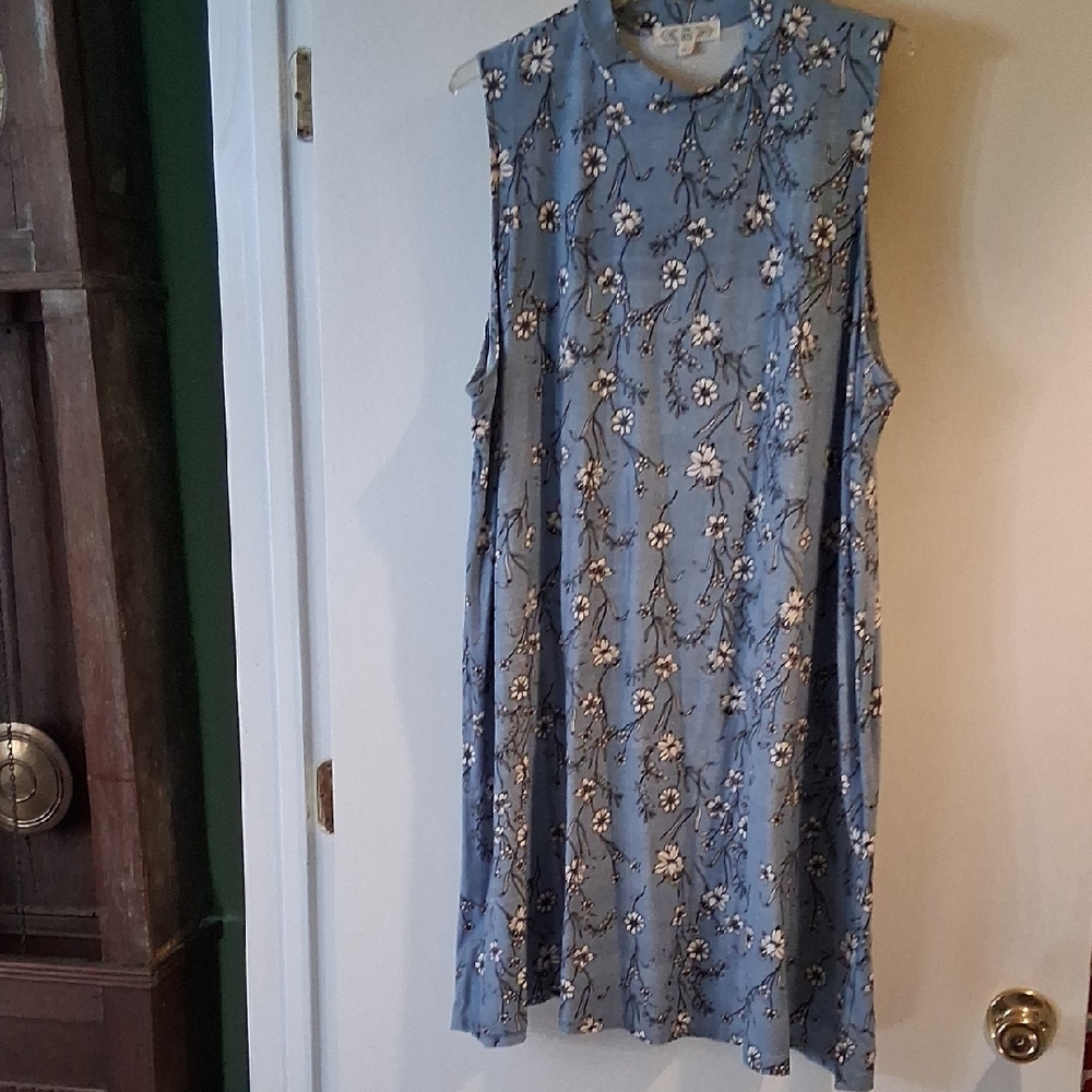Pink Rose Sleeveless Blue Floral Mini Dress